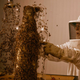 Illustration for article titled Concrete-Printing Bees And Other Living 3D Printers